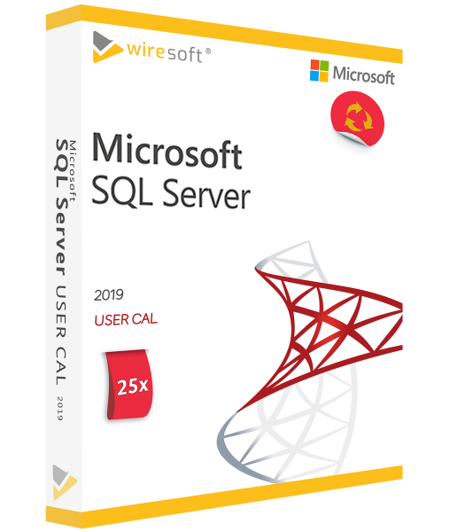 MICROSOFT SQL SERVER 2019 - 25 ΠΑΚΈΤΑ ΧΡΉΣΤΗ CAL